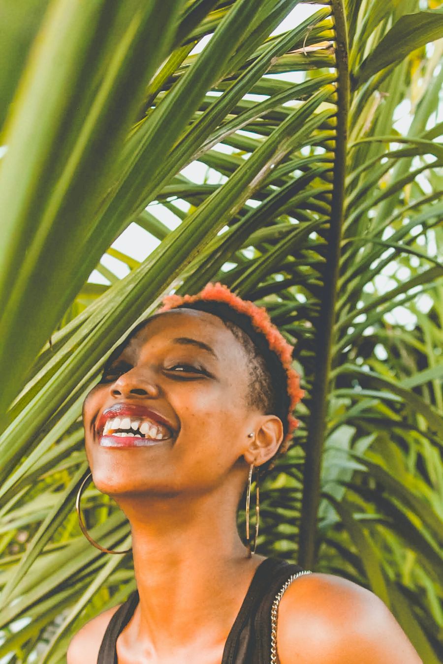 pexels davidowaga 3994892 result