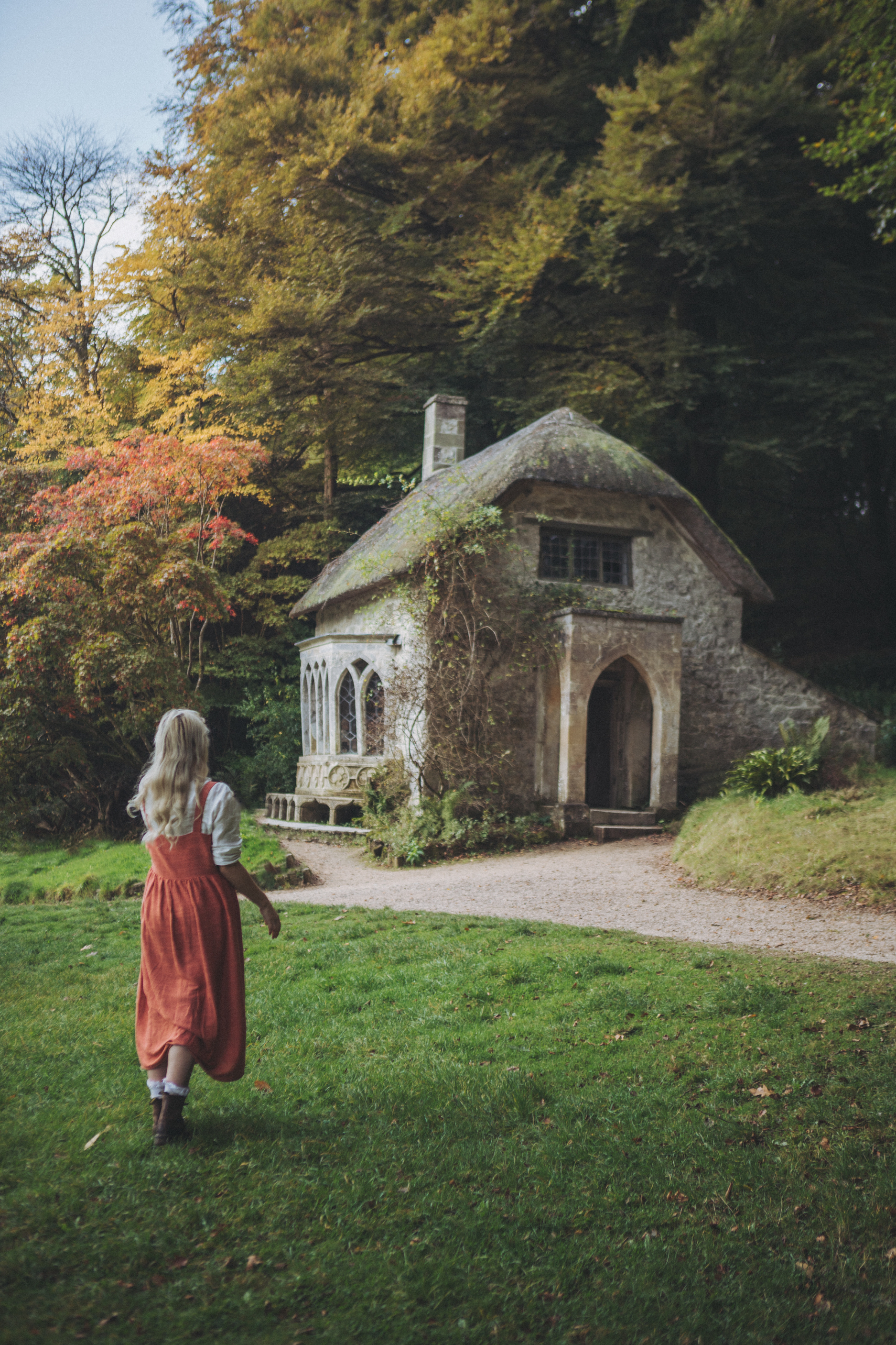 Cottage in the woods