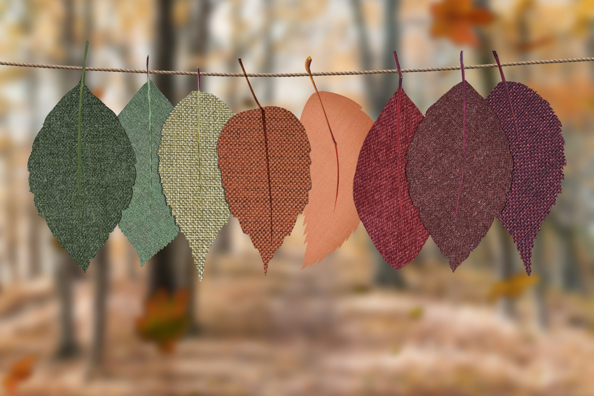 Autumnal colours