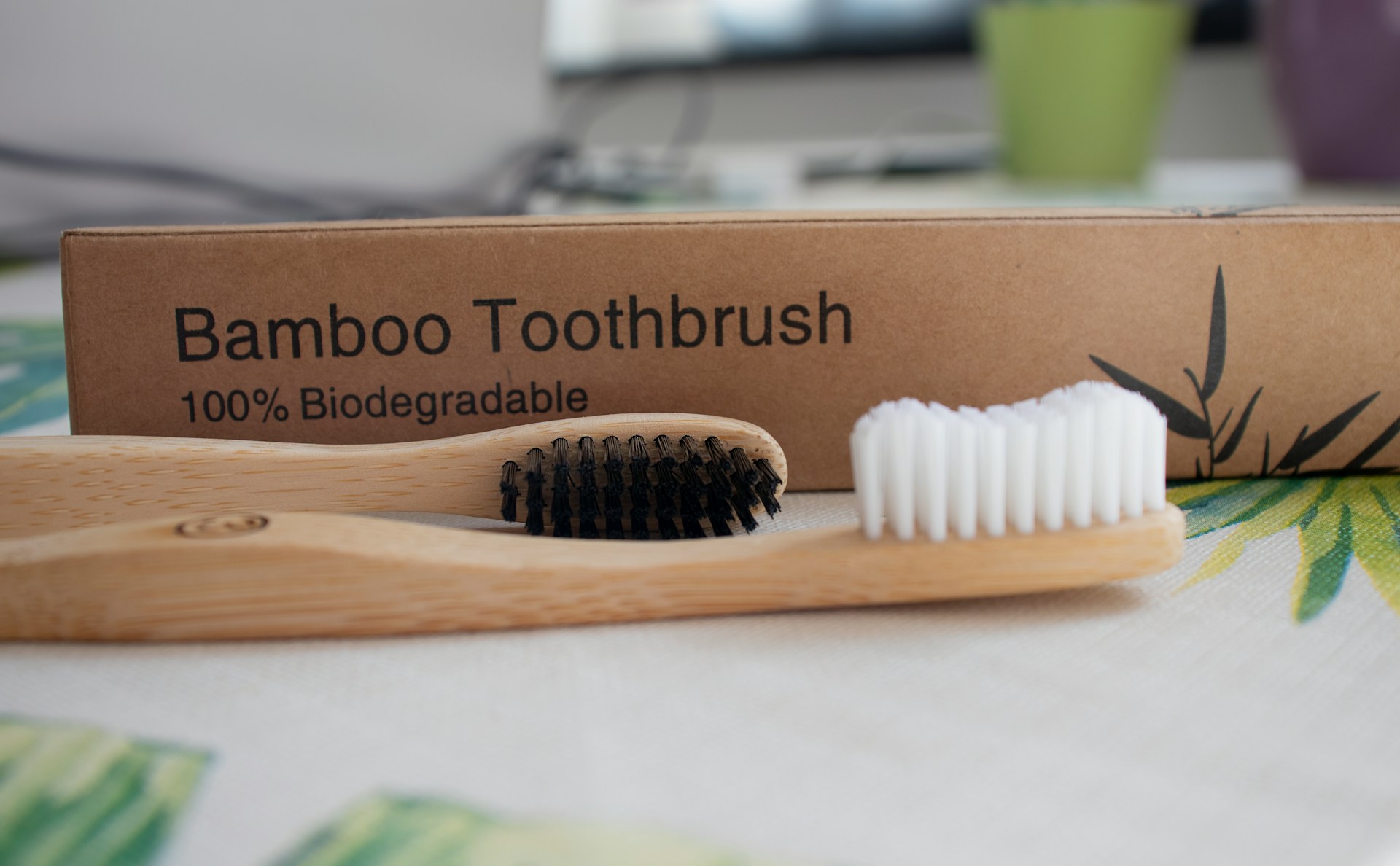 Sustainable toothbrush and packaging