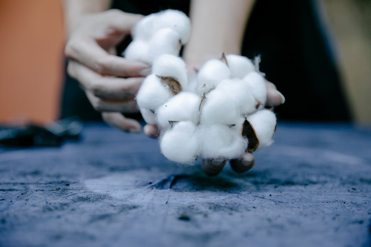Bundle of picked cotton