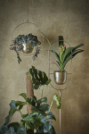 Add Some Flare To Your home By Bringing The Outdoor, Indoors