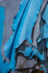 Leather Alternatives Via Labs: Mycelium Sheets And Microbes